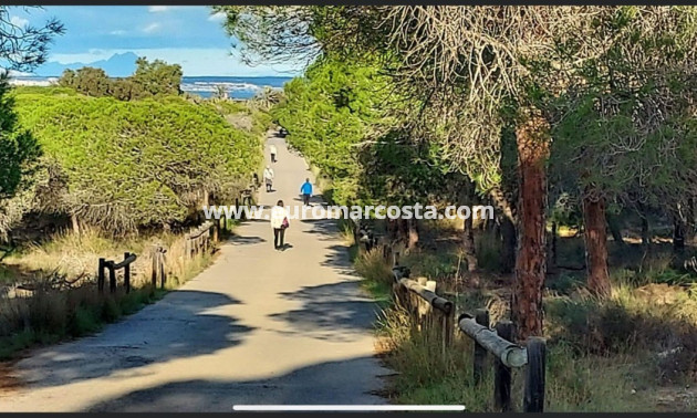 Venta - Villa - Guardamar del Segura