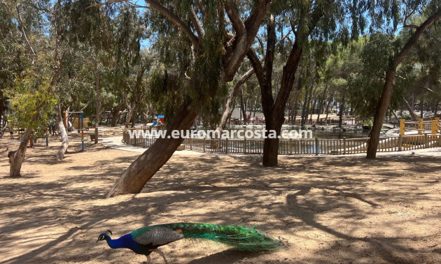 Venta - Villa - Guardamar del Segura
