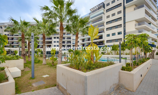 Sale - Penthouse - Orihuela Costa