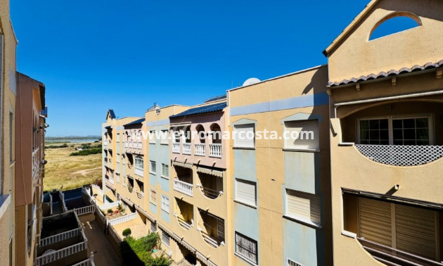 Sale - Apartment / flat - La Mata - TORREVIEJA