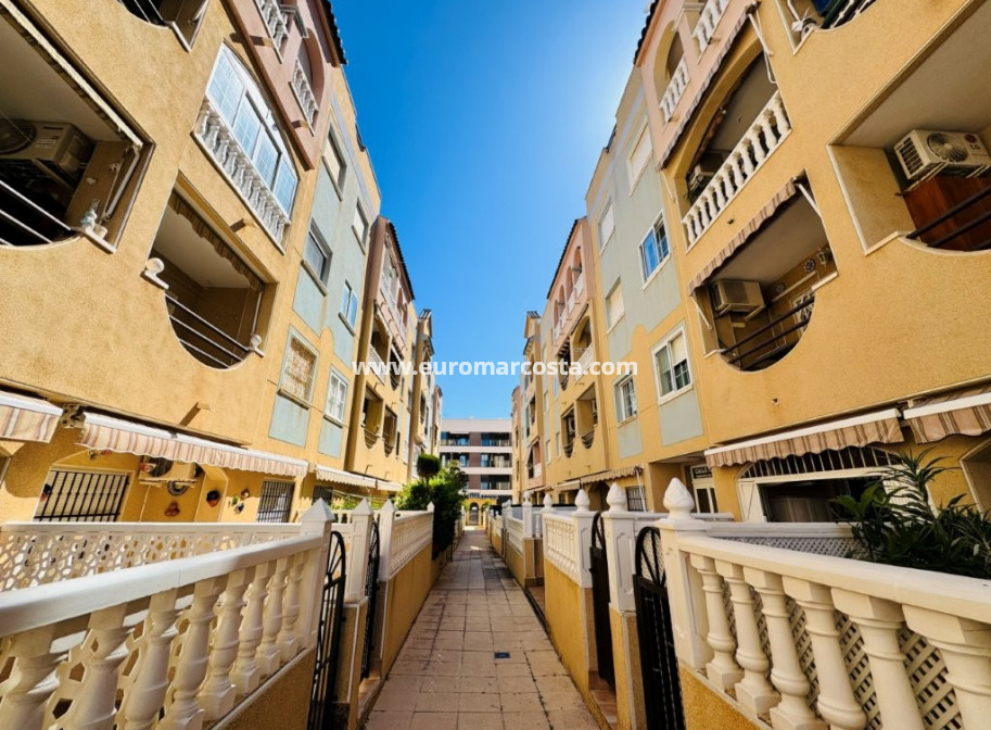 Sale - Apartment / flat - La Mata - TORREVIEJA