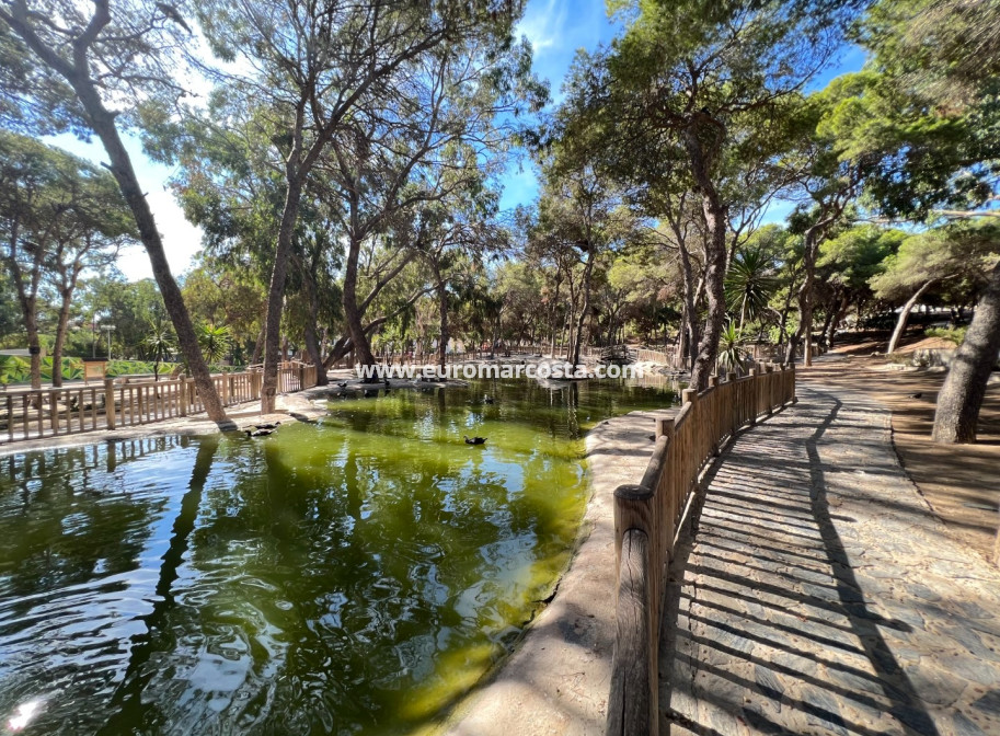 Objekte zum Wiederverkauf - Bungalow Planta Baja - Guardamar del Segura