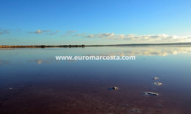 Sale - Townhouse - Torrevieja - TORREVIEJA