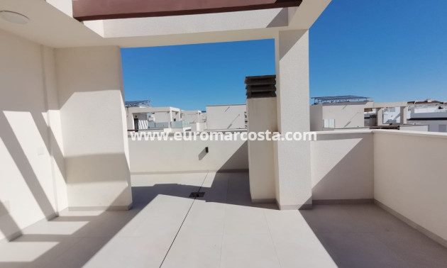 Nueva construcción  - Villa - Rojales - Ciudad Quesada