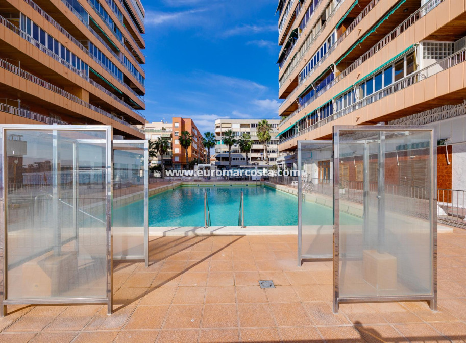 Langzeitmiete - Wohnung - Torrevieja - TORREVIEJA
