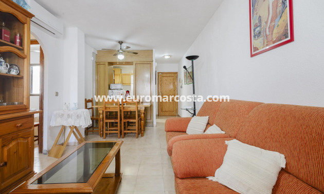 Sale - Penthouse - Torrevieja - TORREVIEJA