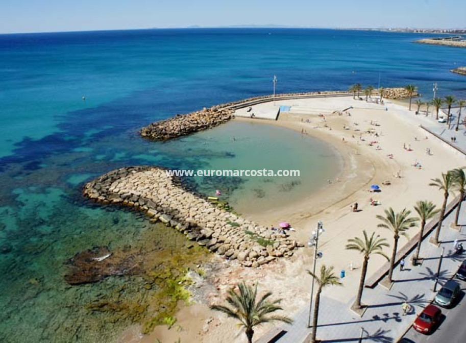 Objekte zum Wiederverkauf - Wohnung - Torrevieja - TORREVIEJA