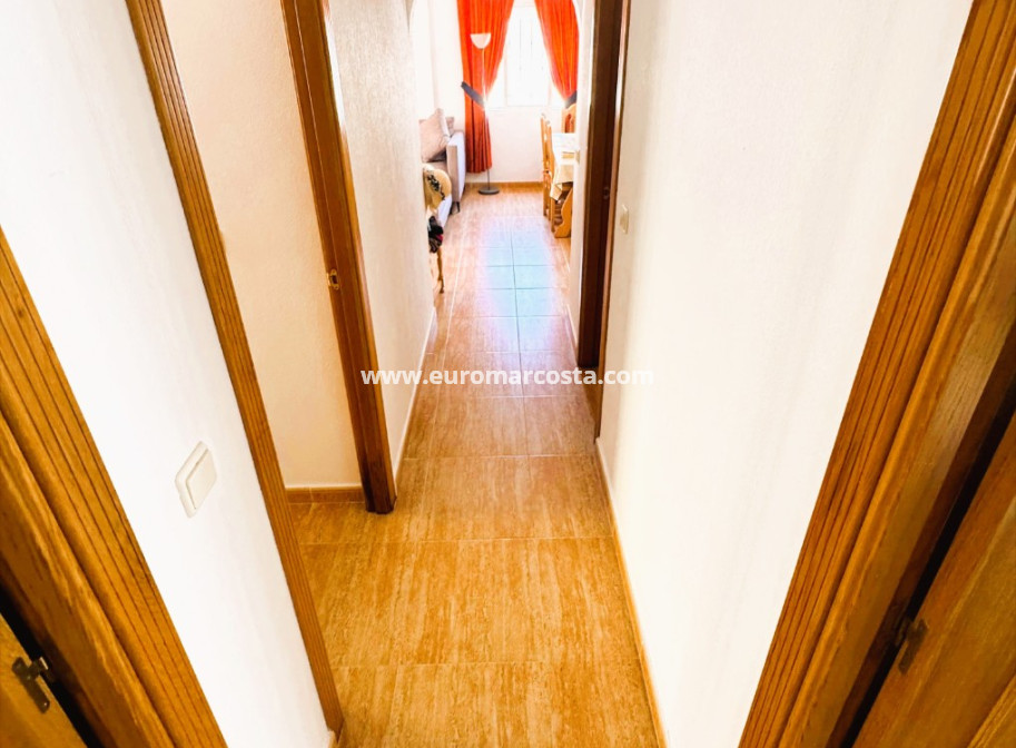 Sale - Villa - Guardamar del Segura