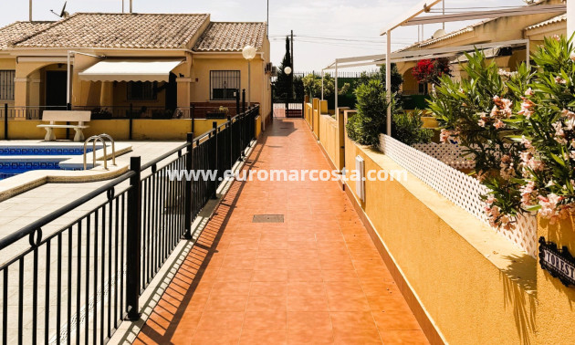 Sale - Villa - Guardamar del Segura