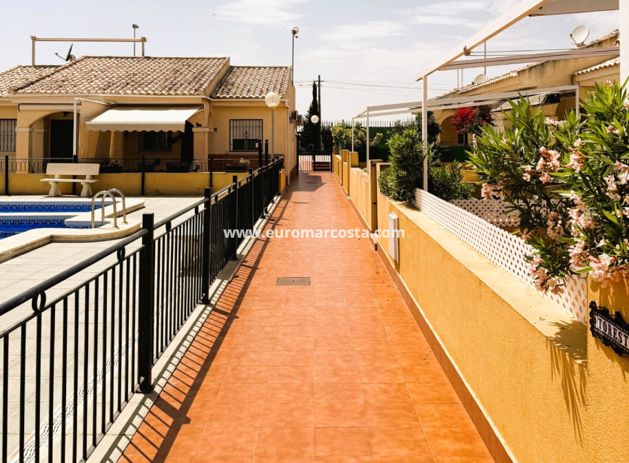 Sale - Villa - Guardamar del Segura