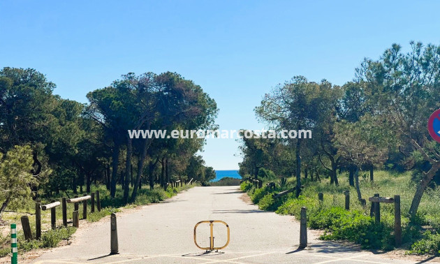 Sale - Villa - Guardamar del Segura