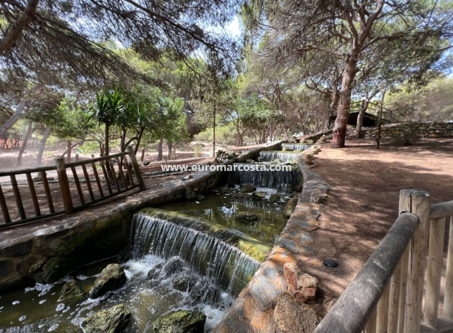 Sale - Villa - Guardamar del Segura