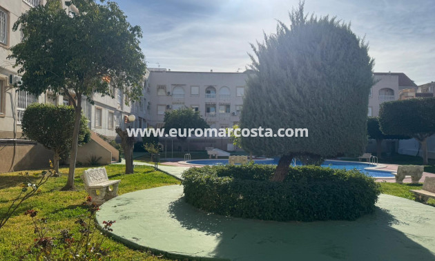 Sale - Apartment / flat - Torrevieja - TORREVIEJA