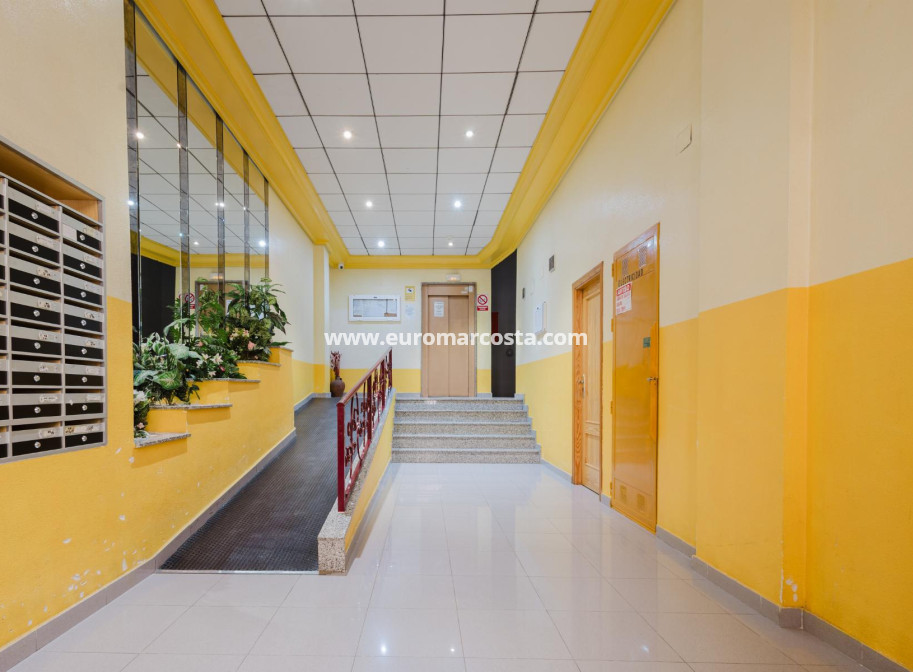 Sale - Apartment / flat - Torrevieja - TORREVIEJA