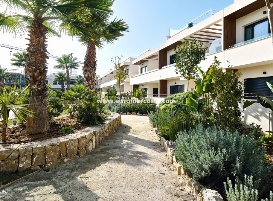 Nueva construcción  - high-bungalow - Torrevieja - TORREVIEJA