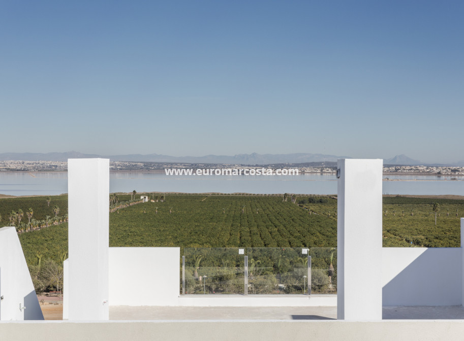 Nueva construcción  - terraced - Torrevieja - TORREVIEJA
