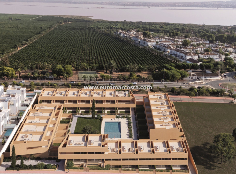 Nueva construcción  - low-bungalow - Torrevieja - TORREVIEJA