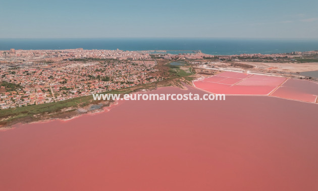 Nueva construcción  - low-bungalow - Torrevieja - TORREVIEJA