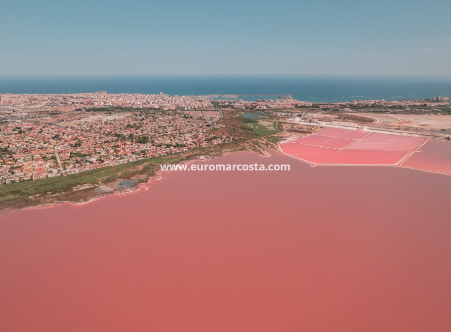 Nueva construcción  - low-bungalow - Torrevieja - TORREVIEJA