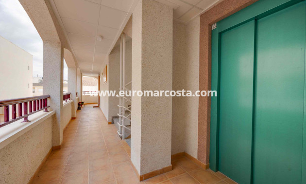 Nueva construcción  - ground-floor - San Fulgencio
