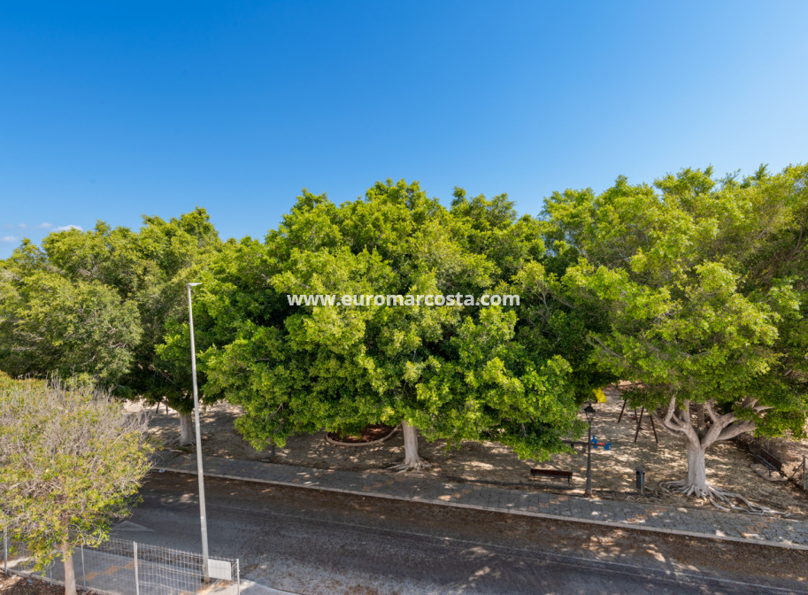 Neubauten - Villa freitstehend - Orihuela Costa - Pilar de la Horadada