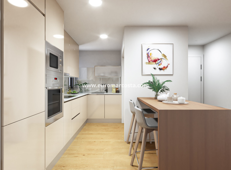 Nueva construcción  - Ático - Torrevieja - TORREVIEJA