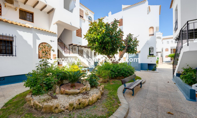 Sale - Bungalow - Torrevieja - TORREVIEJA