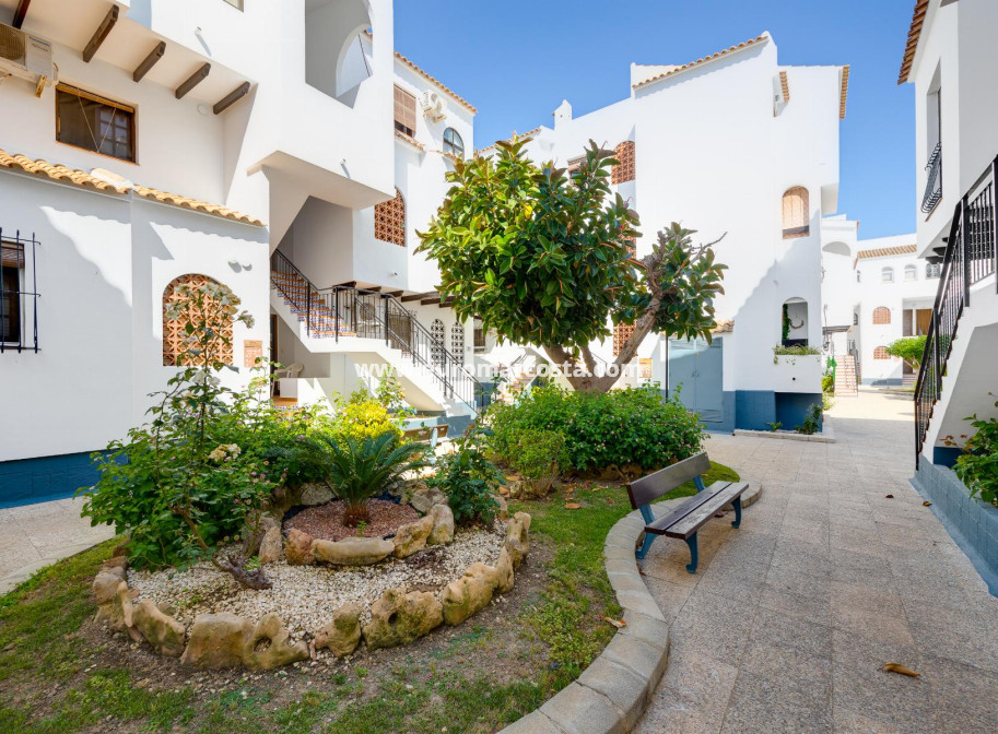 Sale - Bungalow - Torrevieja - TORREVIEJA