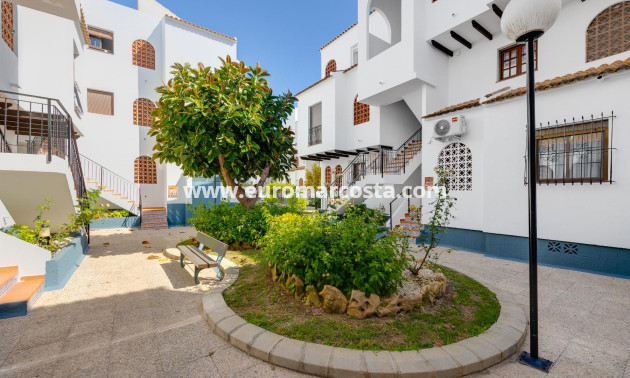 Sale - Bungalow - Torrevieja - TORREVIEJA