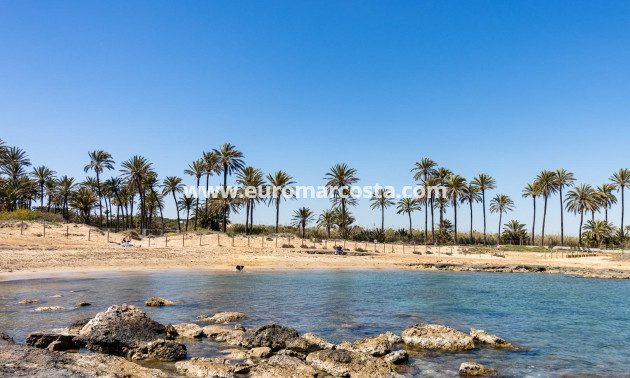 Sale - Bungalow - Torrevieja - TORREVIEJA