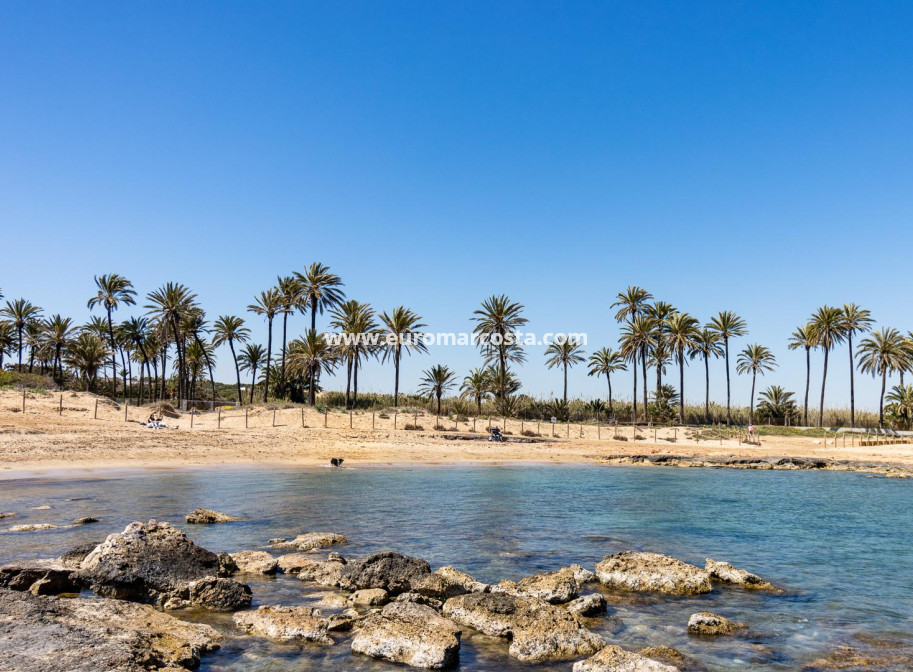 Sale - Bungalow - Torrevieja - TORREVIEJA