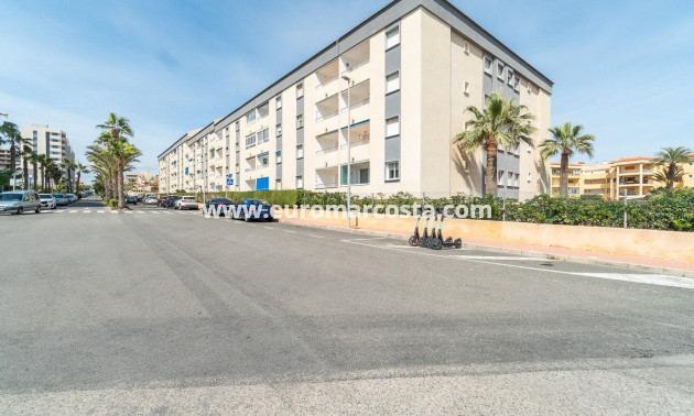 Sale - Apartment / flat - Torrevieja - TORREVIEJA