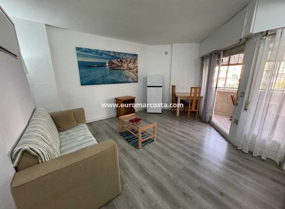 Venta - Estudio - Torrevieja - TORREVIEJA