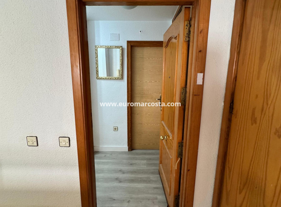 Venta - Estudio - Torrevieja - TORREVIEJA