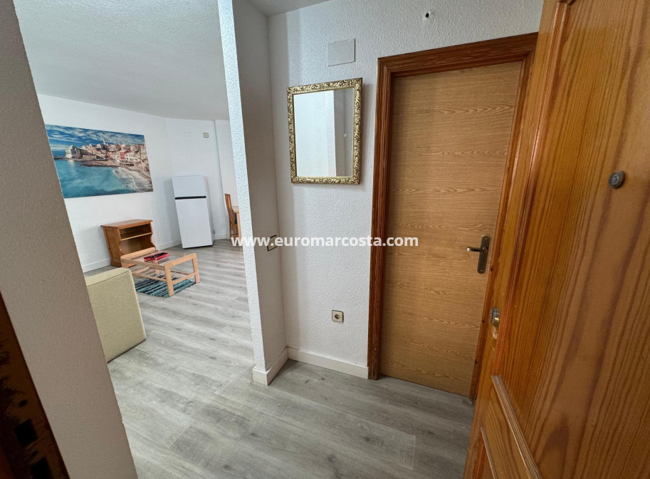 Venta - Estudio - Torrevieja - TORREVIEJA