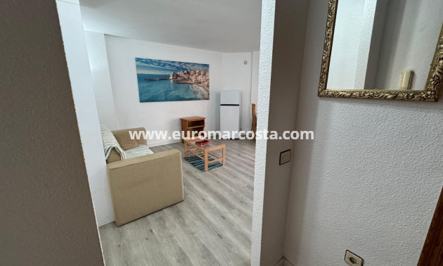 Venta - Estudio - Torrevieja - TORREVIEJA