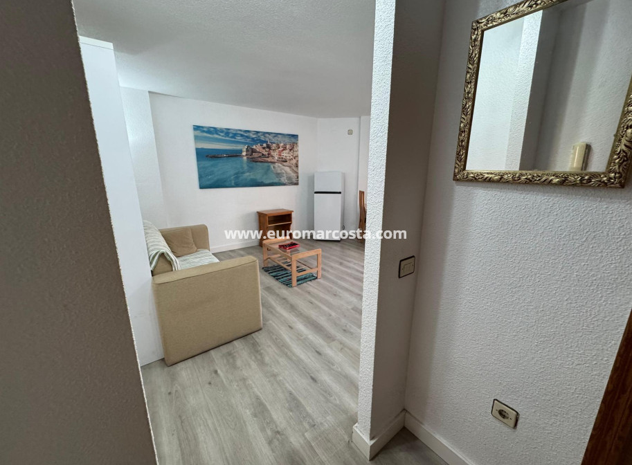 Venta - Estudio - Torrevieja - TORREVIEJA