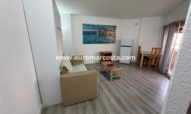 Venta - Estudio - Torrevieja - TORREVIEJA