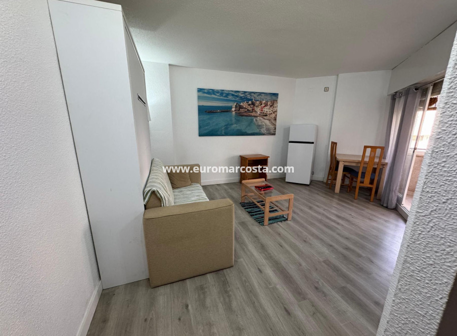 Venta - Estudio - Torrevieja - TORREVIEJA