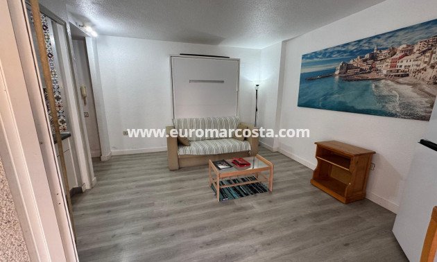 Venta - Estudio - Torrevieja - TORREVIEJA