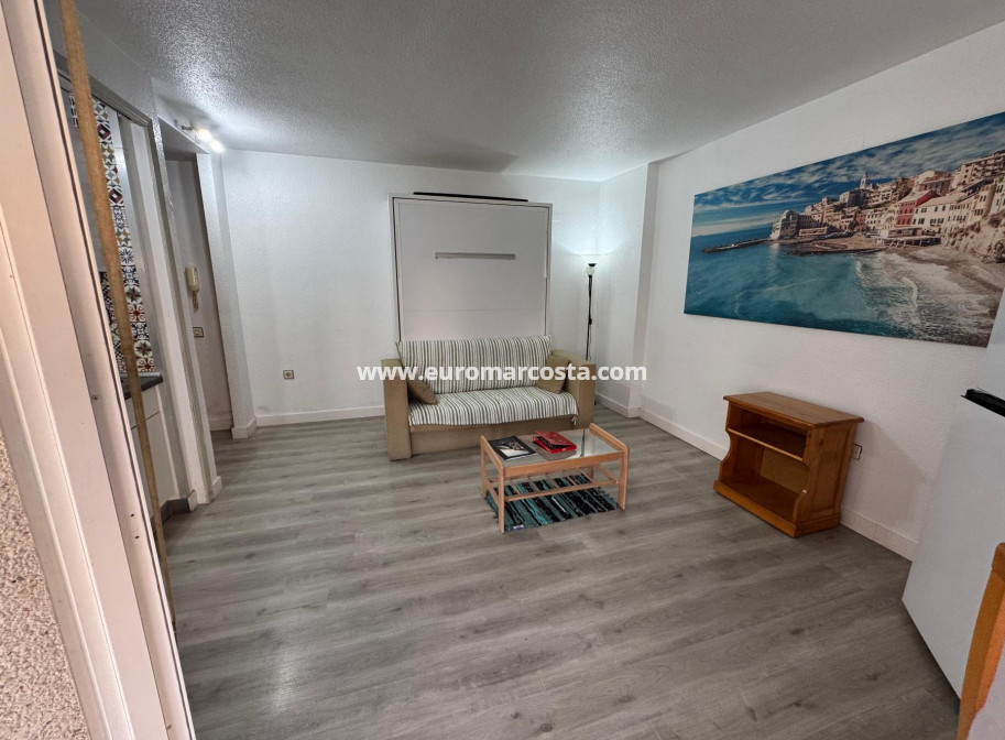Venta - Estudio - Torrevieja - TORREVIEJA