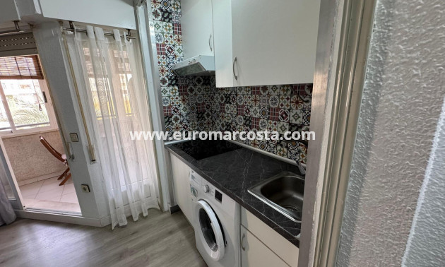 Venta - Estudio - Torrevieja - TORREVIEJA