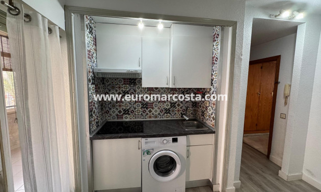Venta - Estudio - Torrevieja - TORREVIEJA