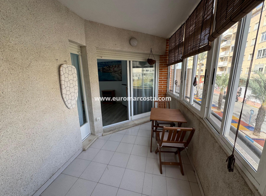 Venta - Estudio - Torrevieja - TORREVIEJA