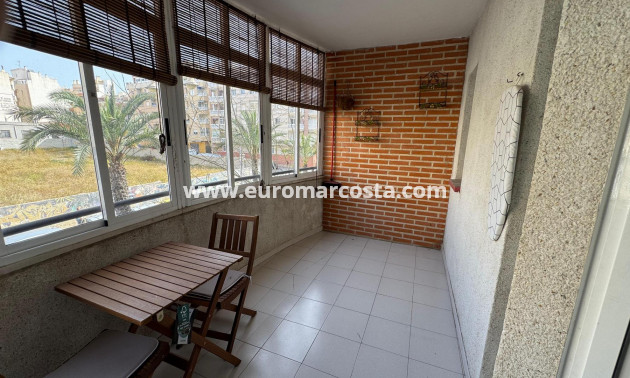 Venta - Estudio - Torrevieja - TORREVIEJA
