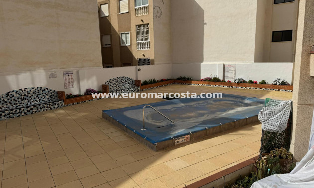 Venta - Estudio - Torrevieja - TORREVIEJA