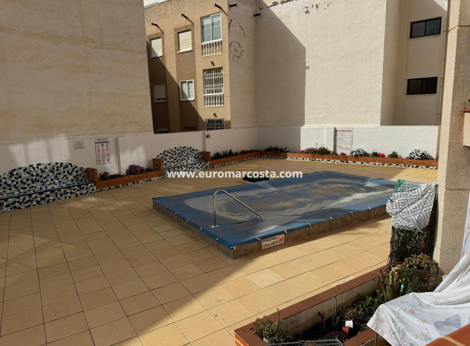 Venta - Estudio - Torrevieja - TORREVIEJA