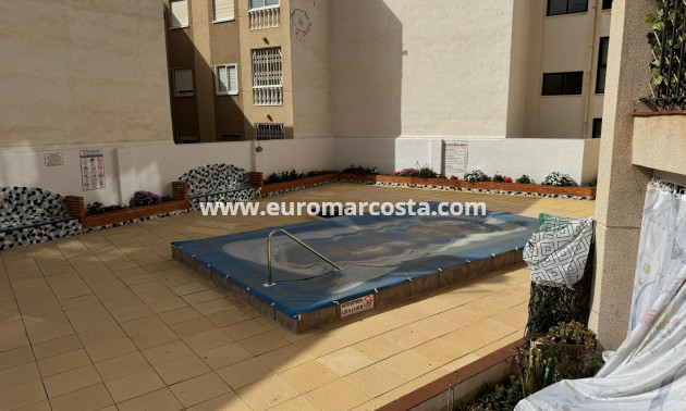 Venta - Estudio - Torrevieja - TORREVIEJA