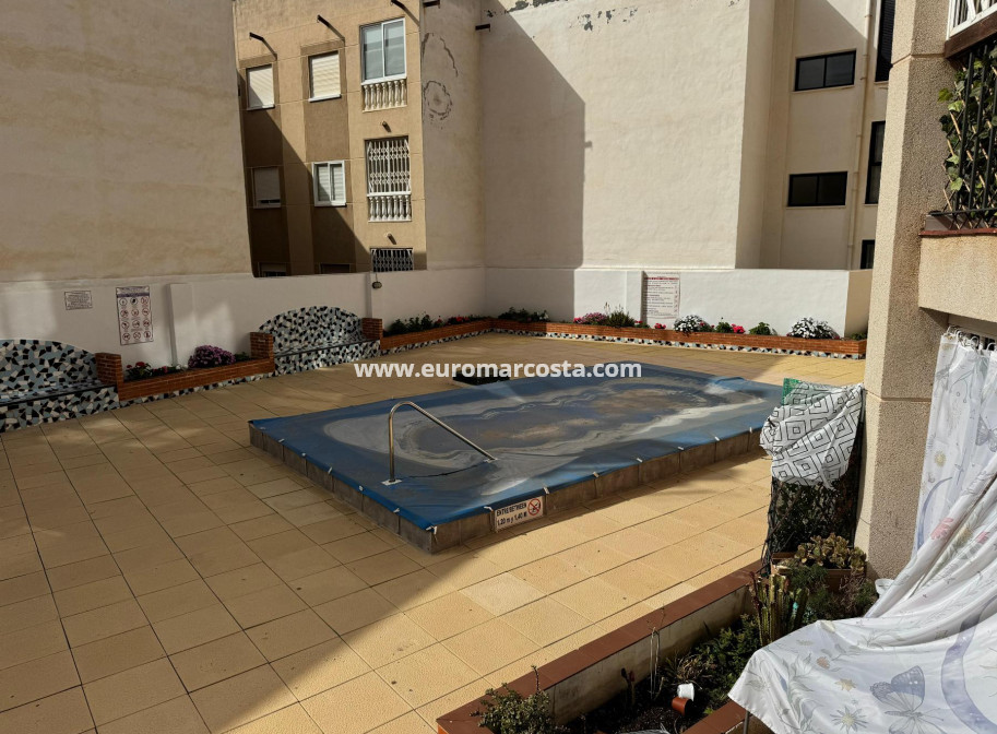 Venta - Estudio - Torrevieja - TORREVIEJA
