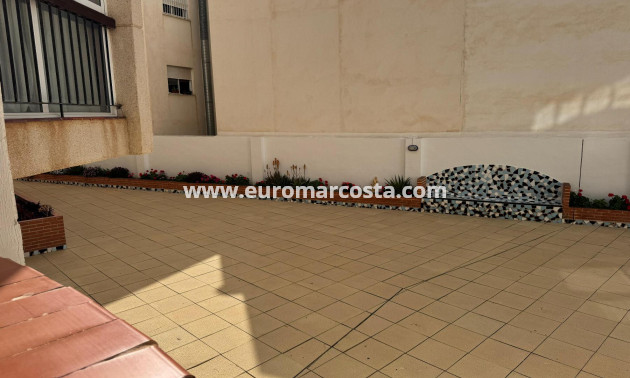 Venta - Estudio - Torrevieja - TORREVIEJA